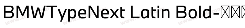 BMWTypeNext Latin Bold字体转换 BMWTypeNext Latin Bold字体转换